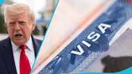 US lists 5 things citizens of 43 visa-waiver countries need before ESTA application