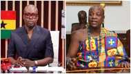 ‘Great termite’ Adom-Otchere declared enemy of Asogli state after spat with Togbe Afede