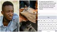 "Give me my money": Boy who played bet with school fees writes to betting company, demands refund