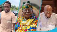 "I was naive": Shatta Wale fan Webkid Africa sends strong message to Asantehene, Akuffo Addo and top officials