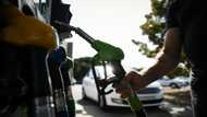 OPEC+ slated to increase oil output in bid to regain market share