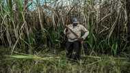 Colombia's territorial battle between Indigenous and Black communities