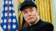 'I am NOT taking drugs!' Musk denies damning report