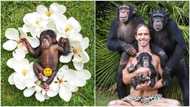 Man does photoshoot for newborn monkey as if it’s human baby, photos cause frenzy online