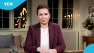 Denmark introduces website to help foreigners find jobs and relocate abroad