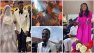 Handsome prophet marries lover in beautiful wedding; Diana Asamoah, others storm plush reception in videos