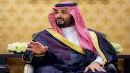 Critics fear Saudi prince seeks legal cover with PM title