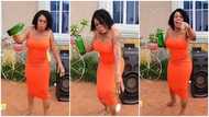 Afia Schwar curses Chairman Wontumi, Maurice Ampaw for denying sleeping with her, video drops