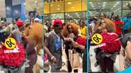 Fan blasts Maali as she takes pictures of Shatta Wale's flowers gift at the airport: "Be like Chioma"