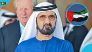 How to check if you qualify for UAE's Golden visa or not