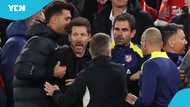 Diego Simeone clashes with Liverpool fans during Champions League defeat