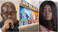 Akufo-Addo's daughter denies receiving $25m contract to paint interchanges