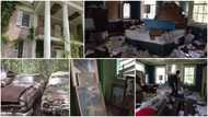 Man discovers old, abandoned mansion with 100s of cars, lovely paintings & luxury furniture, shares clip of it