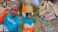 "I just fixed my nails": Lady in pain as her mother drags her to the farm to harvest yams as she arrives village