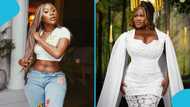 Shatta Wale named as the reason for Efia Odo and Sista Afia's 'beef', details drop in video