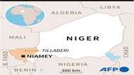 Suspected jihadist attack kills 11 in Niger: local sources