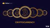 How Cryptocurrency (Bitcoin & Tether) Helps Businesses in Africa