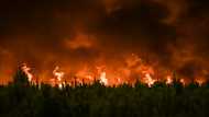 Climate change driving unprecedented forest fire loss