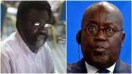 Akufo-Addo ignored advice so we can only watch him fail – Dr Amoako Baah