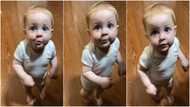 Toddler warms hearts with response during questioning
