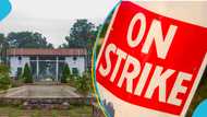 University students in trouble as Senior Staff declare indefinite strike