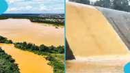 Disturbing video shows Ayensu River in central region polluted by alleged galamsey operations