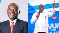 NPP flagbearer race: Former MMDCEs deny endorsing Dr Bawumia