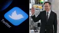 Elon Musk acquires a large portion of Twitter shares, the social media company’s shares rise