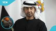 UAE makes major narcotics bust amid rising smuggling, concerning details emerge