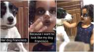 I want to look like my dog - Little girl says as she makes up her face in funny video, stirs reactions