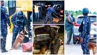 Police Service deploys more men and K9 dogs as it steps up security ahead of New Year season
