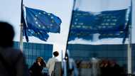 Eurozone dodges recession but gloomy outlook persists