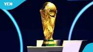 Here is the complete list of 48 qualified teams for the 2026 World Cup