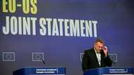 EU gets 15% US tariff for cars, fails to secure wine reprieve