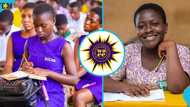 WAEC introduces new exam schedule to prevent question paper leaks