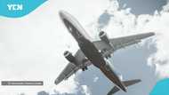 Haunting last words of pilot seconds before plane vanished surface online