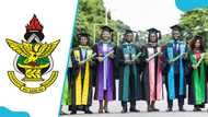 All general arts courses offered in KNUST: full guide
