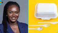 EPA declares ban on takeaway lacks and Styrofoam products in Ghana by 2027