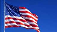 Investigate fraudulent PDS contract - US Embassy insists
