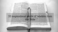 33 inspirational words of wisdom from the Bible