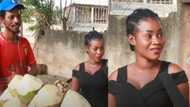 This is historic - Ghanaians say as beautiful lady helping her man sell coconut by the roadside goes viral