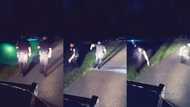 “This Is Hilarious”: The Net Reacts to Cops Fleeing from Noise in a Graveyard