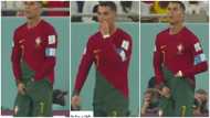 "He dey use juju": Video of Cristiano Ronaldo 'eating food from his pants' during Ghana-Portugal match causes stir