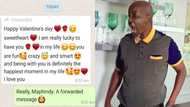 Eish: Woman forwards Valentine's Day text, leaves bae super unimpressed