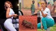 Akuapem Poloo helps boy after seeing him sleeping by the road in new video; fans praise her