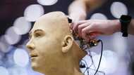 Urgent need for 'global approach' on AI regulation: UN tech chief