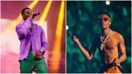 “If I knack you once na boy”: Wizkid tells dancer who was whining her waist on him to be careful, fans react