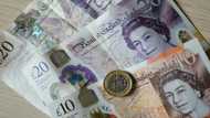 Top UK bosses earn average person's annual wage in days: survey