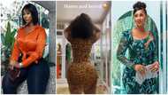 Hajia4Reall gets people talking after flaunting backside in trendy TikTok dance challenge: Why, NEPA take light at the end?