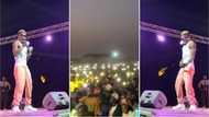 Shatta Wale: Dancehall Star Shuts Down Brekum Golden City Park With Stellar Performance